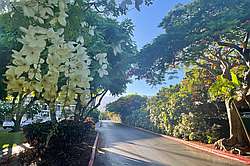 Kihei Akahi Maui Ocean View Condo - Kihei Akahi private road as you enter
