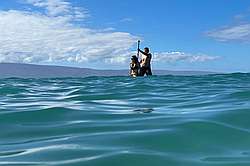 Kihei Akahi Maui Ocean View Condo - SUP