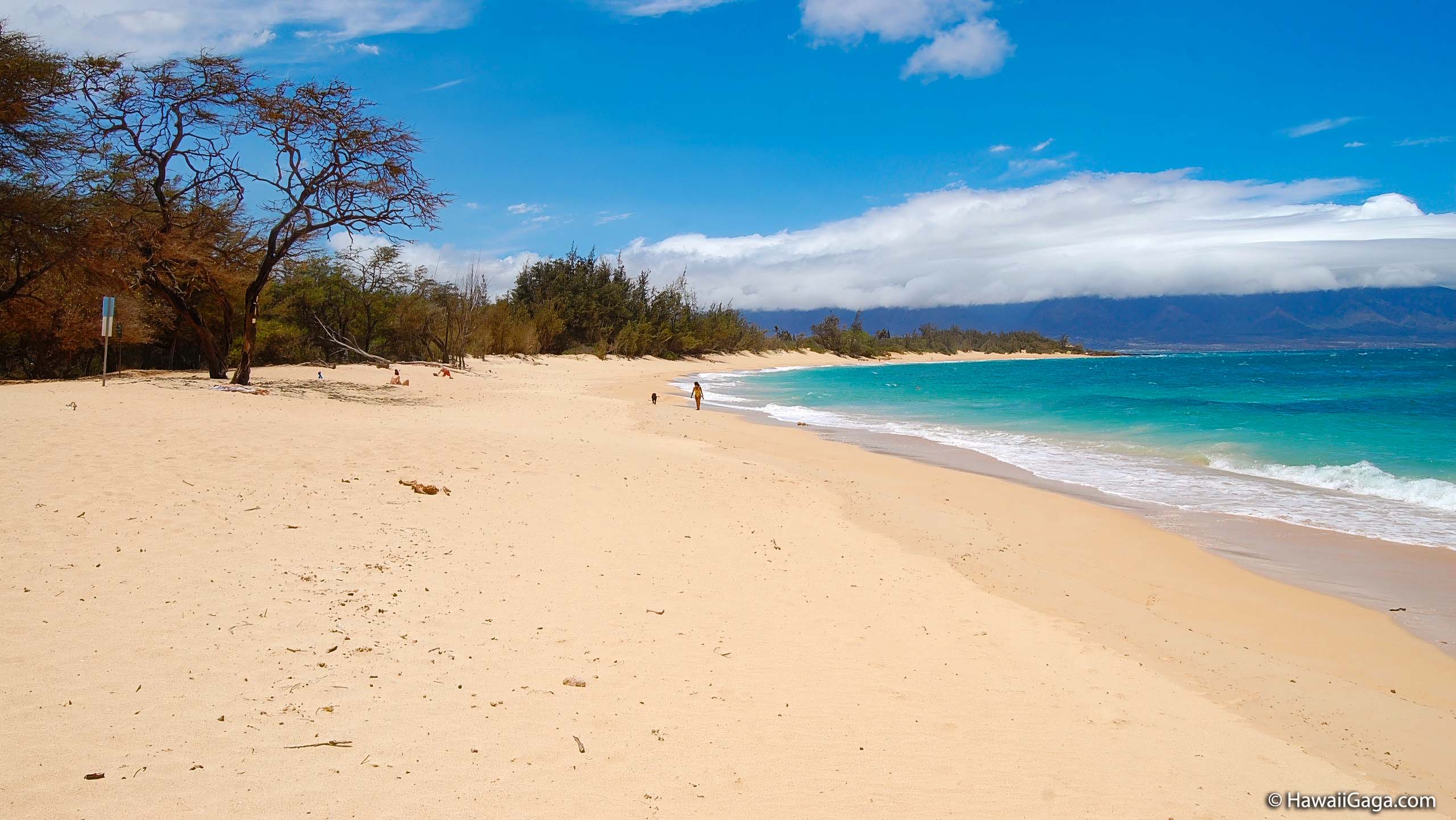Baldwin Beach Park