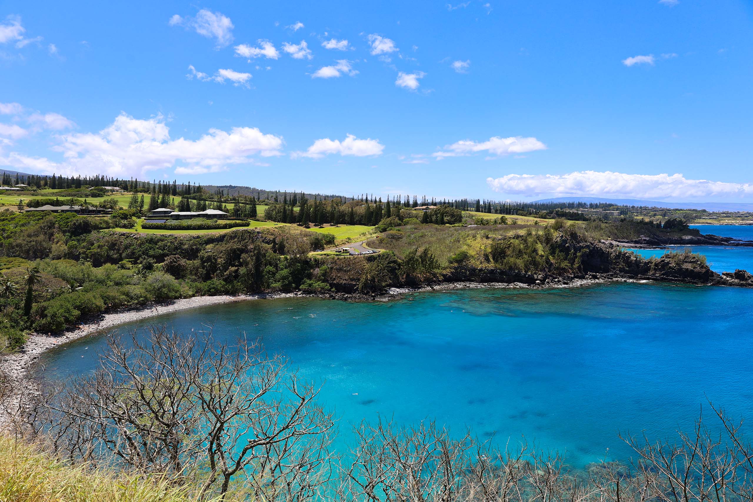 Honolua Bay