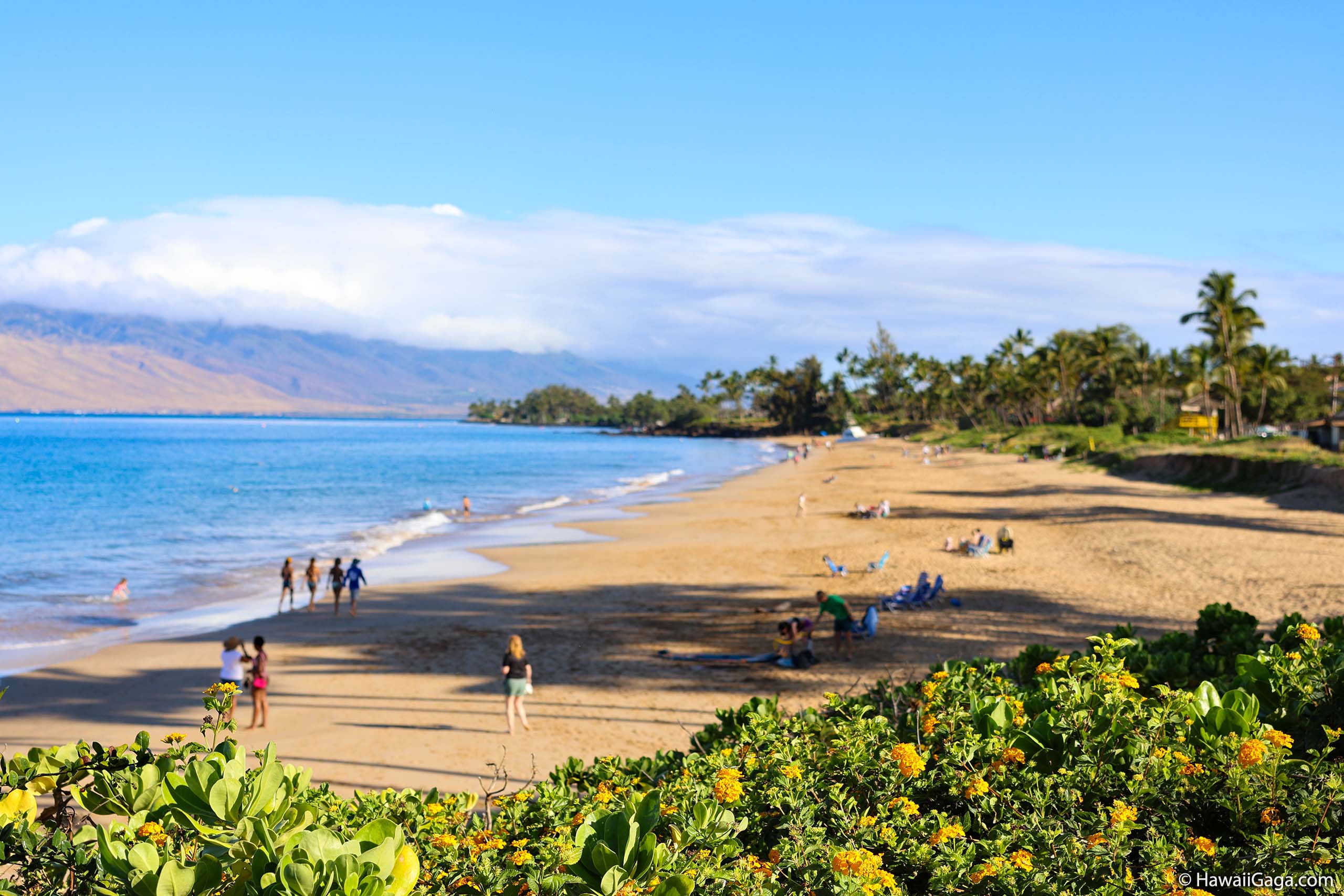 Kamaole Beach Park 1
