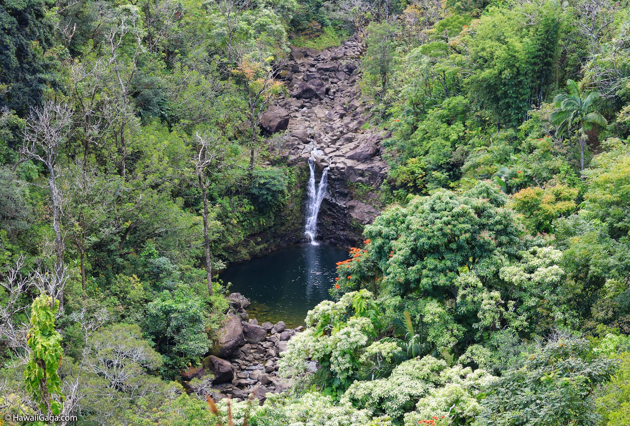 Lower Puohokamoa falls