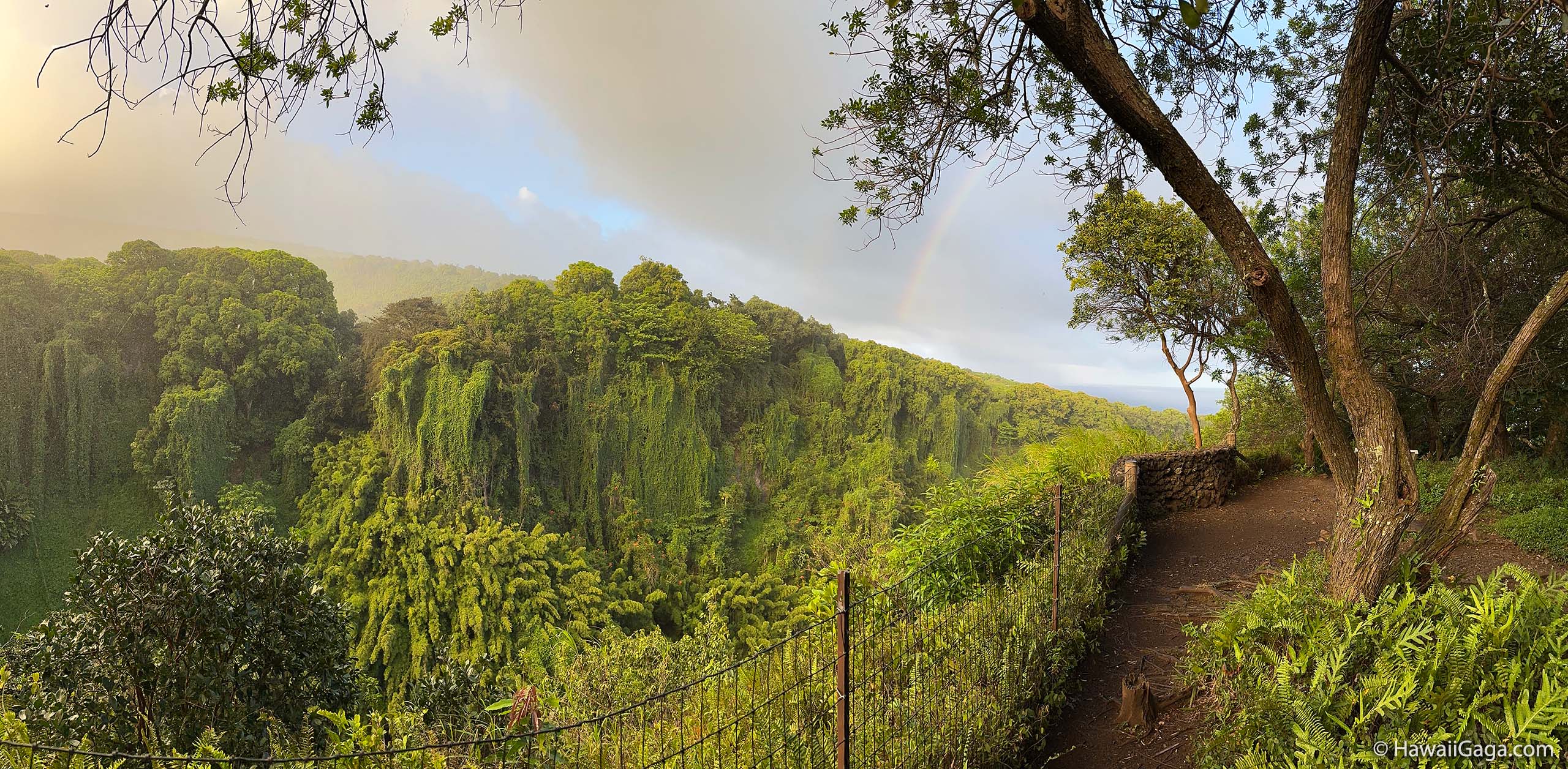 Pipiwai Trail