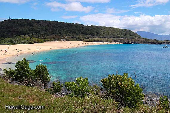 Waimea Bay